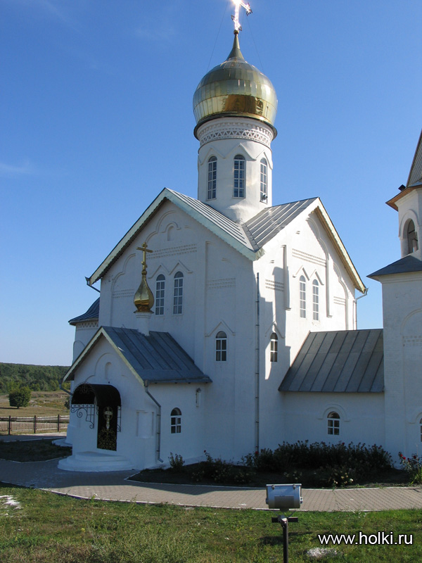 ���� �������� - donskoi-2-holki.jpg
